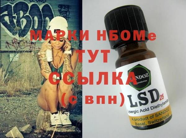 стаф Алзамай