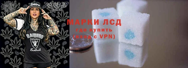 стаф Алзамай