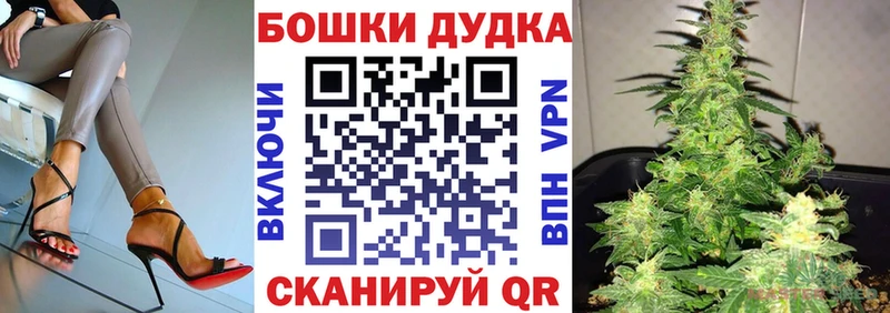 где купить   Алупка  Шишки марихуана сатива 